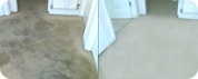 Cleaning Carpets