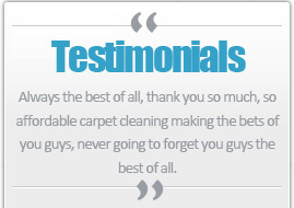 Client Testimonials